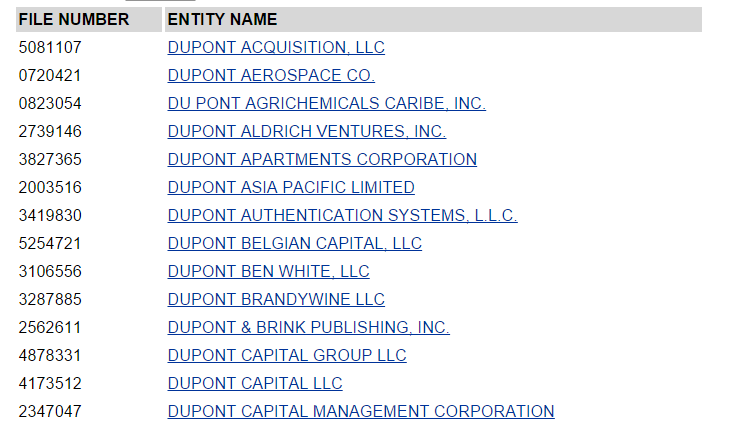 Delaware Business Entity Name Search Step By Step Guide